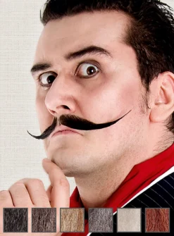 Artiste Moustache Professionnelle En Poils Véritables