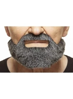 Barbe Complète Hollywoodienne