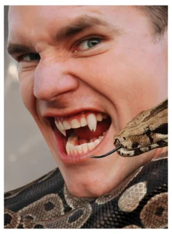 Dents De Monstre Serpent