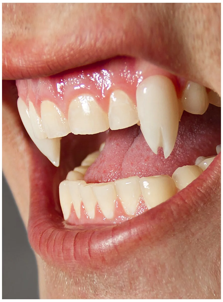 Dents De Monstre Serpent – Image 2