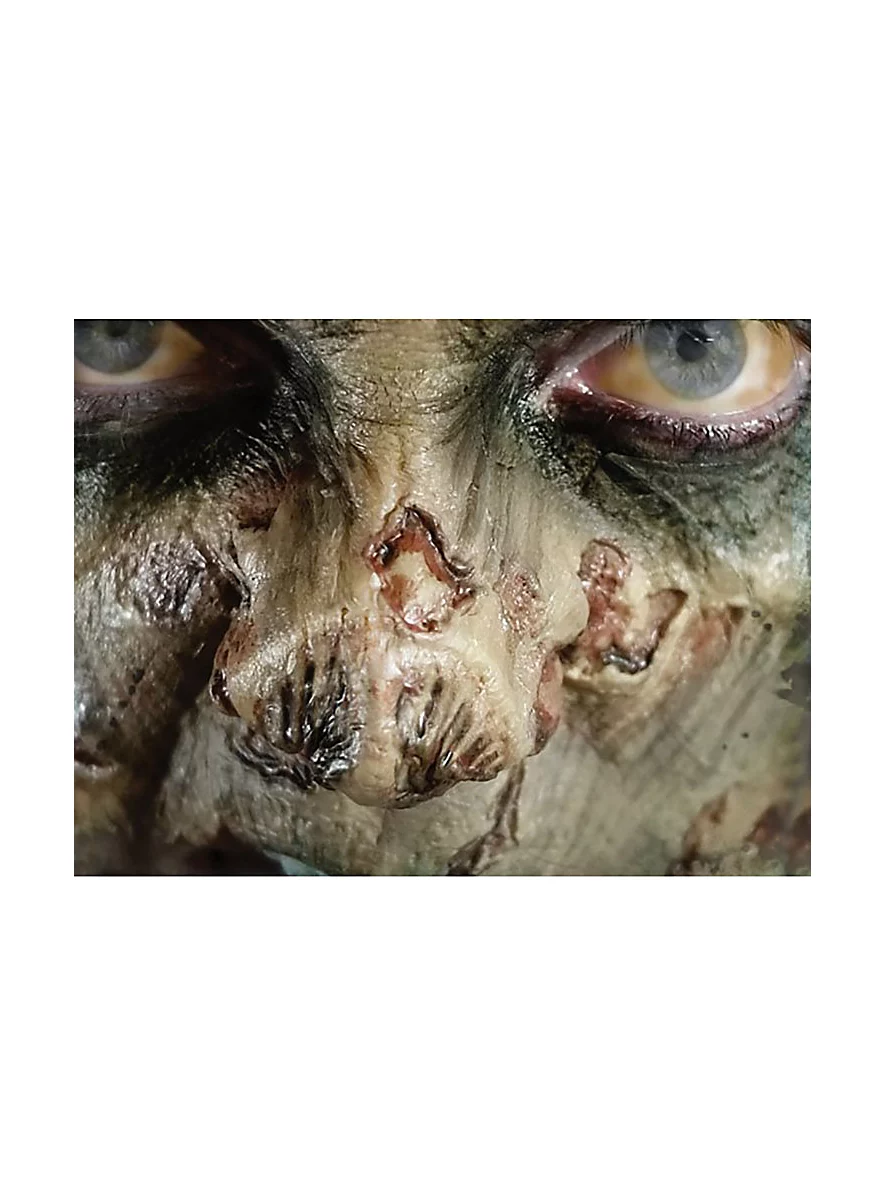 Nez De Zombie 3D FX Transfers – Image 2