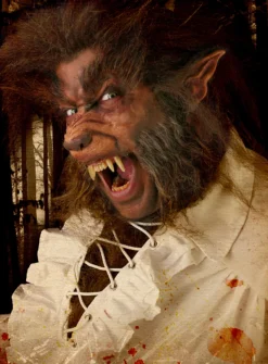 Oreilles De Loup Garou Application En Latex